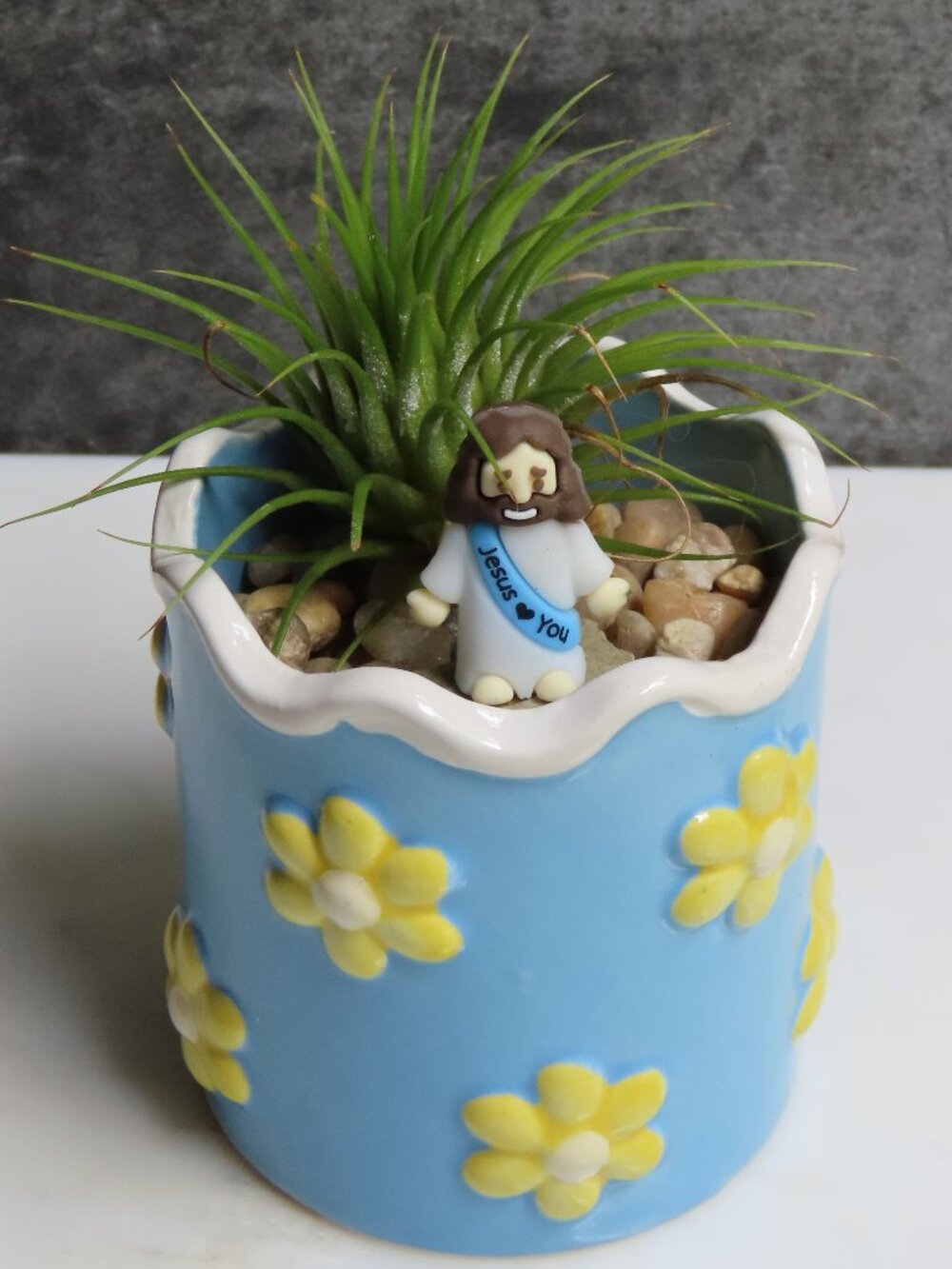 Air plant with Mini Jesus